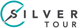 ESilver logo